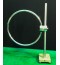Test Loop